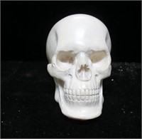 3" tall composition skull paperweight