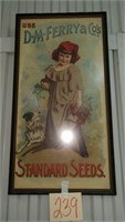 Standard Seeds Picture