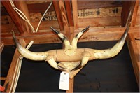 Vintage Mounted Longhorn horns 1950's