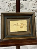 Framed Fish Fossil