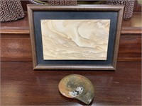 Ammonite Fossil w/ Framed Sand Stone
