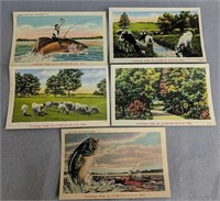 5 Slaughter Beach Delaware Postcards