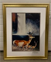 R.Jame Tarrort Wildlife Framed Print
