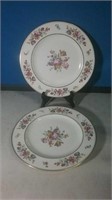 Pair of belleek floral dinner plates