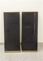DCM Timeframe Speakers (TF500, Vintage)