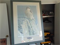 Robert Bateman - Mountain Monarch GyrFalcon