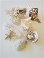Misc. Shells and Corral