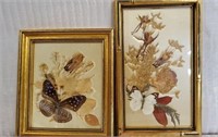 Pair of Gold Framed Butterfly & Plants