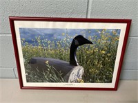 Signed Goose Print