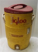 Igloo Cooler