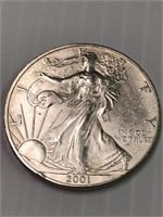 2001 Silver American Eagle Coin