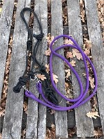 Tag #360 Side pull Rope Halter with purple reins