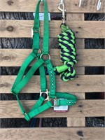 Tag #374 Average size Green bling halter w/lead