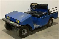 Taylor-Dunn Electric Cart R3-80