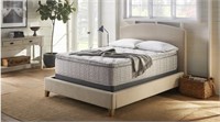Queen American Bedding Limited Edtion 14-inch PT