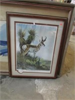 WEST TEXAS PRONGHORN PRINT -- SIGNED