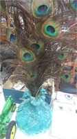 VASE AND PEACOCK FEATHERS