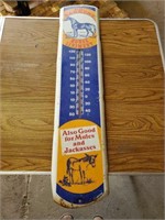 Dr. Barkers Horse Liniment Thermometer