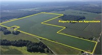 229.6 acres of cropland