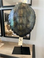 TURTLE SHELL DECO