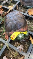 concrete turtle, 8” long