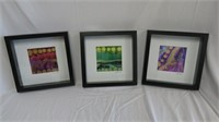 (3) SHADOW BOX FRAMED PRINTS - SIGNED