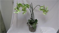 LARGE GREEN ORCHID ARRANGEMENT 29"T