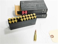 Hornady Ammo