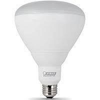 65 w feit electric daylight