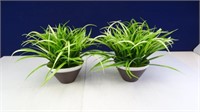 (2) Artificial Plants