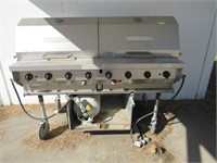 Stainless Steel Dual Gas Outdoor Grill