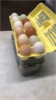 3 Mixed Size & Color Eating Eggs