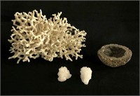 Coral, Geode and Salt Crystals