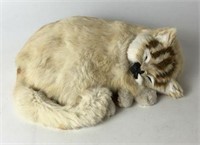Westminster Sleeping Cat