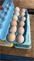 3 Doz Med / Lg Eating Eggs