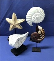 Ornamental Shells - Conchas Decorativas