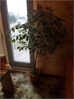 Artificial Tree in Plaastic Pot, 63inches Tall