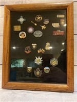 Framed Hat Pin Collection