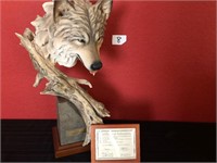 Wolf Sculpture COA Stephen Herero