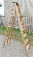 Large Step Ladder
