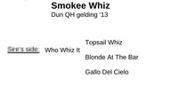 Smokee Whiz  2013 Dun QH Gelding