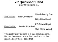 YR Quickshot Hand  2011 Gray AQHA Gelding