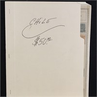 Chile Stamps Collection through 1974 on Pages
