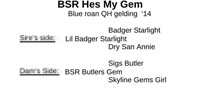 BSR Hes My Gem 2014 Blue Roan AQHA Gelding