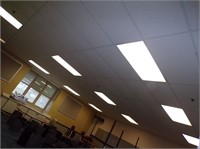 Ceiling Tile & (11) Light Fixtures