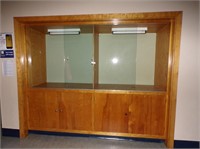 Display Cabinet - In The Wall