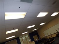 Ceiling Tiles w/ (9) Light Fixtures