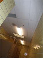 Ceiling Tile & (4) Light Fixtures