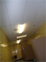 Ceiling Tile & (3) Light Fixtures