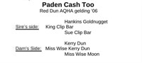 Paden Cash Too 2006 Red Dun AQHA Gelding